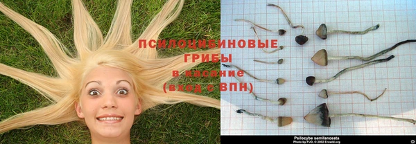трава Богородск